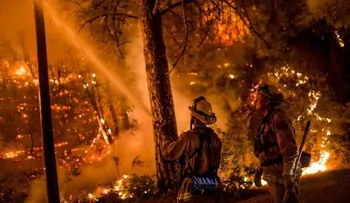 Incendios queman 200 casas en California