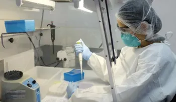 Costa Rica utiliza una bacteria para atacar al mosquito que transmite el zika