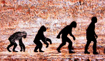 ¿Jaque a la teoría de la evolución? 
