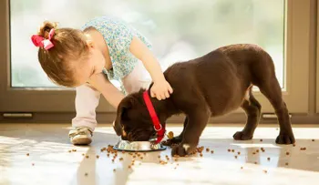 Claves para una convivencia saludable con tu mascota