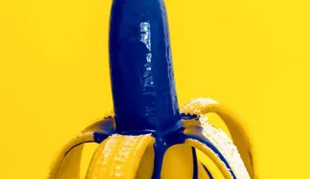 10 cosas que quizás NO sabías de los penes