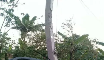 Regresó de los EE.UU y perdió la vida en un fatal accidente