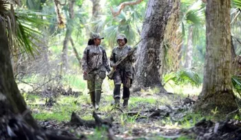 Florida ofrece un Thanksgiving, pero primero tiene que cazar el pasto 