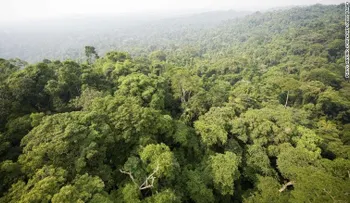 Brasil abre un enorme pedazo de su Amazonía a la minería