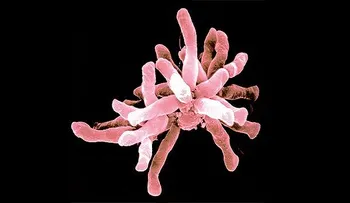 Científicos descubren microbio que come electricidad 