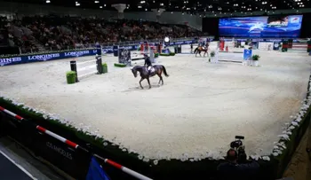 ¡Luces, cámara, caballo! Los Ángeles está listo para su gran espectáculo equino