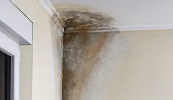 Termina con la humedad de tu casa definitivamente con solo hacer esto