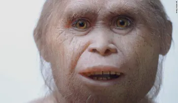 Nuevas evidencias muestran el origen del Hobbit de Indonesia