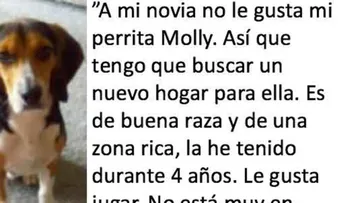 Su novia le da un ultimatum: el perro o yo. ¿Su respuesta? Brillante.