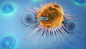 ¿Cómo afecta el estrés a nuestro sistema inmunológico?
