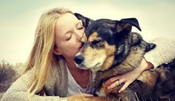 José Cordero: 6 métodos para cuidar a tu mascota