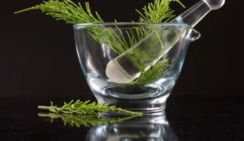 Cola de caballo, un remedio para todo
