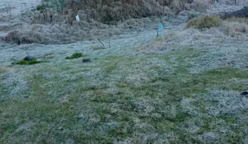 Valle Nuevo sigue con temperaturas por debajo de los cero grados