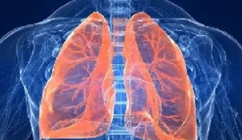Descubrieron una nueva función clave de los pulmones 