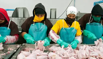 Obligan a usar pañales a empleados de la industria avícola de EE.UU. para que no dejen de producir