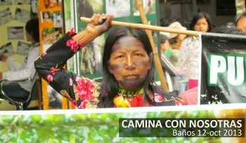 Visión Global: Campaña extemporánea