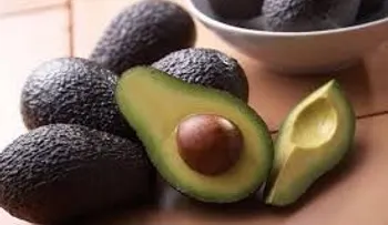 La semilla del aguacate mejora el cáncer, la artritis y otras enfermedades, descubren científicos de EEUU