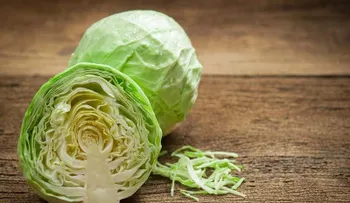 Revelan el secreto: Adiós al cáncer, la anemia, osteoporosis, estreñimiento y otras enfermedades con el repollo