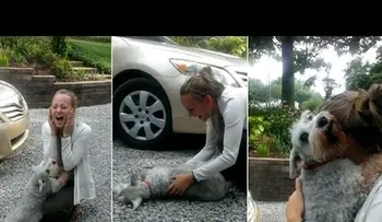 Emocionante reencuentro de este perro y su dueña