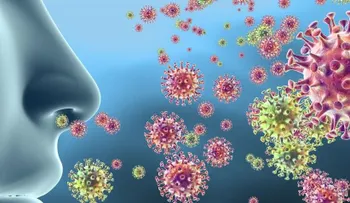 Una mutación en la proteína S de SARS-Cov-2 lo hace ocho veces más infeccioso