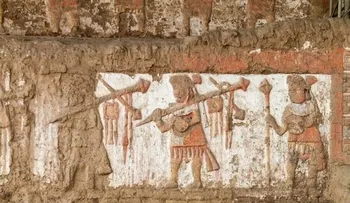 Medicina Inca: cirugías, plantas sagradas y un conocimiento que trascendió al imperio