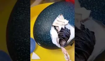 Compra un huevo decorativo por Ebay y se queda boquiabierta al ver lo que hay dentro