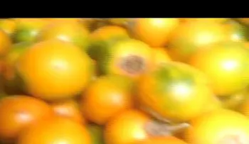  Lulo o naranjilla para el colesterol y buen funcionamiento de los riñones: OTROS BENEFICIOS 