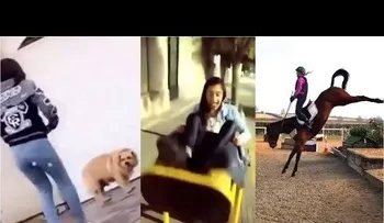 Videos graciosos para morirse de la risa