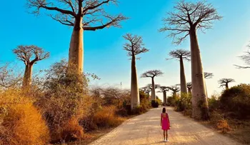 Mayra Lázaro: la nómada digital peruana que viajó sola por más de 50 países y ahora inspira a otras mujeres