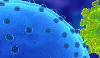 Un test revela virus que han afectado a una persona 
