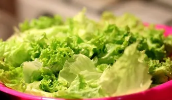 Té de lechuga es la solución perfecta para el insomnio