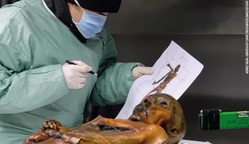 La ciencia revela cuál fue la última cena de Otzi, el hombre de hielo que murió hace más de 5.000 años