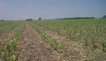 Gobierno entrega 11.2 millones de pesos a productores agricolas del Sur