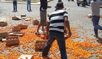 Agricultores de Moca lanzan productos a la calle por veda prohíbe exportar a EEUU