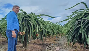 Ministro Agricultura RD realiza visita a Vietnam y a China