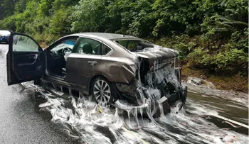 La "repugnante" consecuencia de un insólito accidente de tránsito