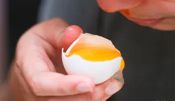 Cómo saber si un huevo está podrido