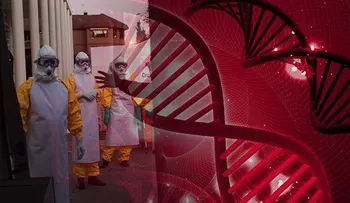 Sobrevivir o no al ébola depende de los genes