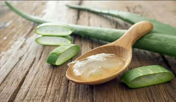 18 usos increíbles del aloe vera que te dejarán con la boca abierta. De ahora en mas no volverás...