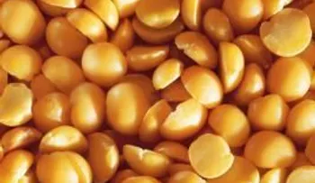 La dieta de proteína en la orina Baja