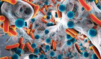 Descubren antibióticos que acaban con la resistencia a los antimicrobianos