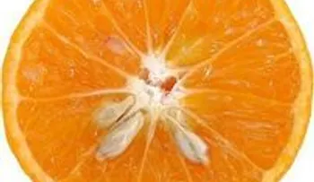 Los extractos de semilla de naranja para la artritis, el cáncer y enfermedades del corazón