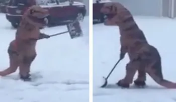 Dinosaurio despeja la nieve en Estados Unidos