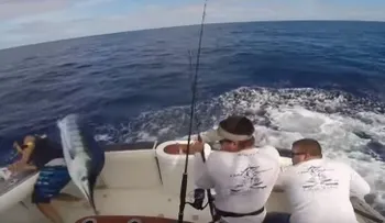 Un pescador casi muere ensartado por un pez espada 