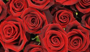 Las acciones de esta empresa se disparan un día antes de San Valentín