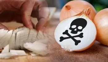 Nunca use de nuevo una cebolla cortada: ABSORBEN BACTERIAS que son venenosas