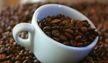 Buenas noticias para los amantes del café