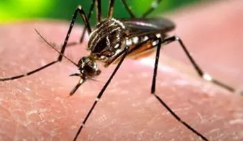 Muere otro niño por dengue en Santiago; van 3 en 4 días