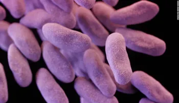 Detectan bacterias "pesadilla" resistentes a antibióticos en 27 estados de EE.UU.