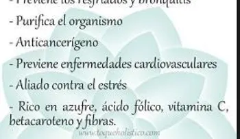 Si te pasa de tragos comer repollo es la mejor solución; cura cientos de enfermedades